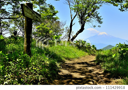 丹澤不動峰山頂高聳的富士山 111429918