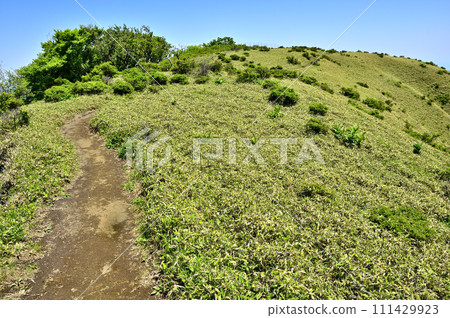 從丹澤不動峰看到的《鳳鬼杉澤之香》是一條穿過草地和樹林的山路。 111429923