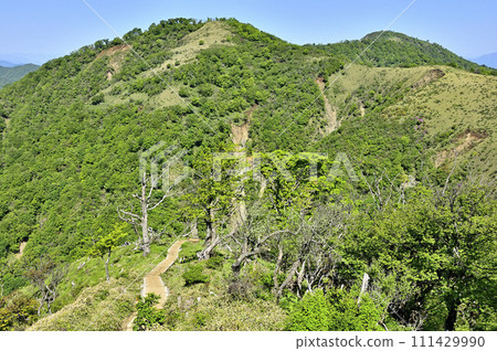 丹澤山脈的丹澤山新綠的丹澤主脈:不動峰、鬼岩之香、白岳 丹澤山脈的丹澤山新綠的丹澤主脈:不動峰、鬼岩之香、白岳 111429990