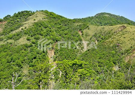 丹澤山脈的丹澤山新綠的丹澤主脈:不動峰、鬼岩之香、白岳 丹澤山脈的丹澤山新綠的丹澤主脈:不動峰、鬼岩之香、白岳 111429994