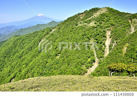 從丹澤山脈的丹澤山眺望初夏的富士山和丹澤主山脈的山脈。 111430008