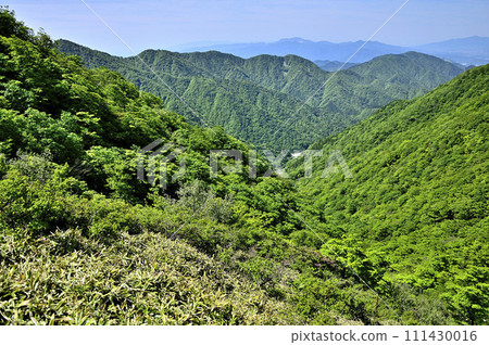 View of Mt. Nabewari and Mt. Hinoki in early summer from Mt. Tanzawa in the Tanzawa Mountains. 111430016