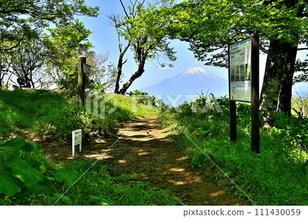 丹澤山脈的不動峰，森林外高聳的富士山 111430059