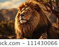 Lion on a natural habitat 111430066