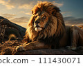 Lion on a natural habitat 111430071