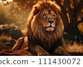 Lion on a natural habitat 111430072