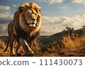 Lion on a natural habitat 111430073