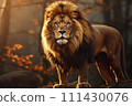 Lion on a natural habitat 111430076