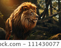Lion on a natural habitat 111430077