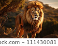 Lion on a natural habitat 111430081
