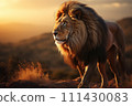 Lion on a natural habitat 111430083