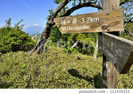 丹澤山脈的丹澤山，從步道路標可以看到富士山 111430252