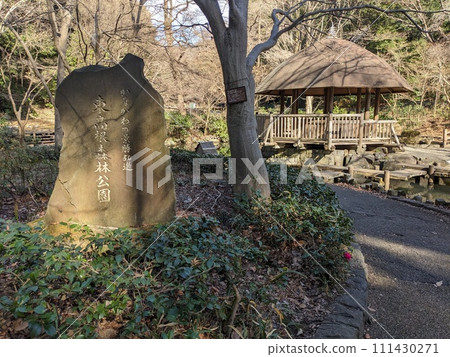 寒冷天氣前一天的東高根森林公園風景 寒冷天氣前一天的東高根森林公園風景 111430271