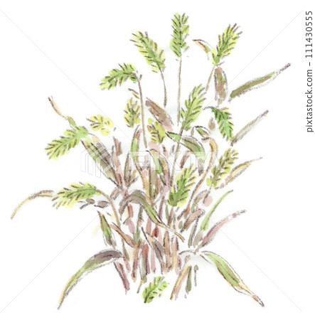 秋冬植物，紅葉樸樹的水彩插圖 111430555