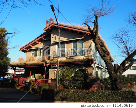 grass shop 111430619