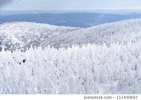 山形縣山形市山形藏王的霜凍樹木 111430682