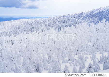 山形縣山形市山形藏王的霜凍樹木 111430683