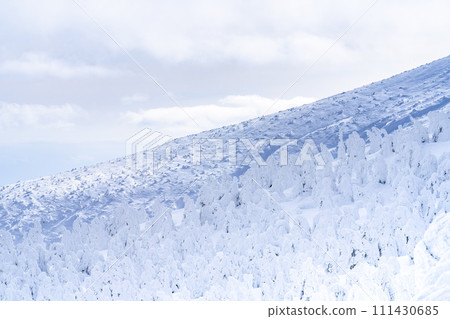 山形縣山形市山形藏王的霜凍樹木 山形縣山形市山形藏王的霜凍樹木 111430685