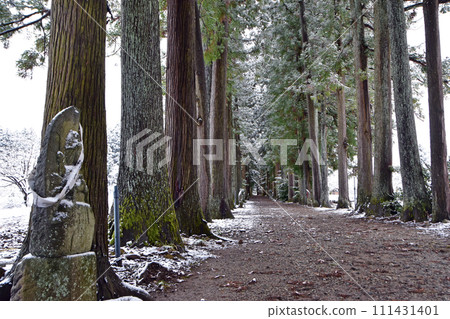 冬天的芽山立山寺的利賀樹（富山縣上市町） 111431401