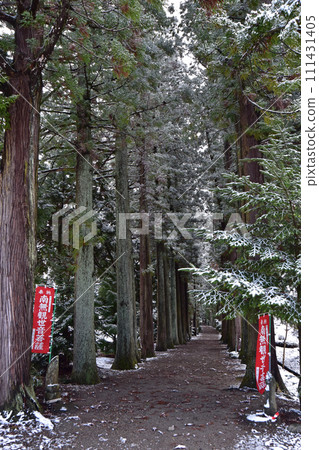 Toga trees at Memeyama Tatezanji Temple in winter (Kamiichi Town, Toyama Prefecture) 111431405