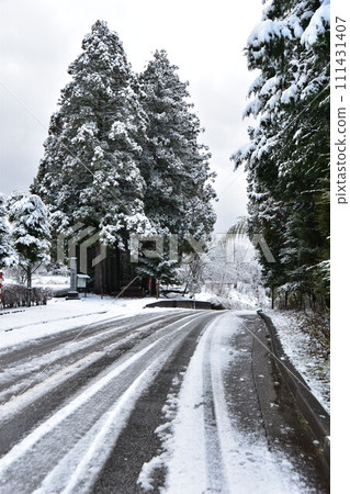 冬天的芽山立山寺的利賀樹（富山縣上市町） 111431407