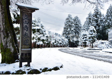 冬天的芽山立山寺的利賀樹（富山縣上市町） 111431409
