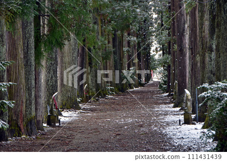 冬天的芽山立山寺的利賀樹（富山縣上市町） 111431439