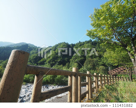 Landscape rich in nature Landscape rich in nature 111431882