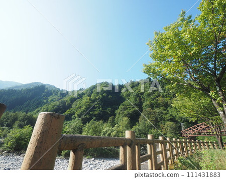 Landscape rich in nature Landscape rich in nature 111431883