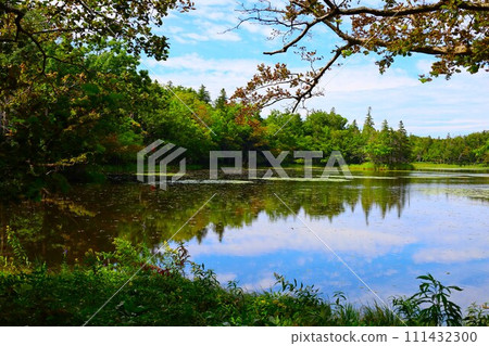 夏季北海道知床五光自然漫步 夏季北海道知床五光自然漫步 111432300