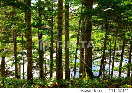 夏季北海道知床五光自然漫步 111432311