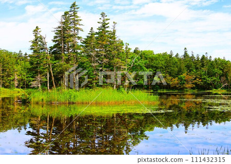 夏季北海道知床五光自然漫步 夏季北海道知床五光自然漫步 111432315