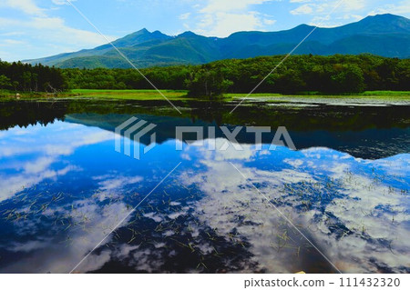 夏季北海道知床五光自然漫步 111432320