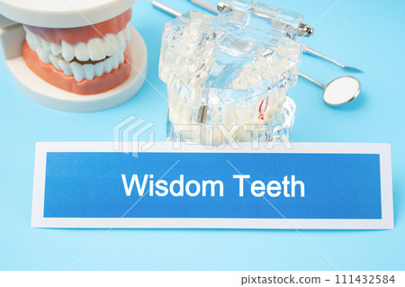 Teeth model and dental tools on blue background. 111432584