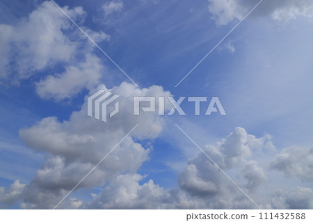 Cherry blossoms in full bloom shining in the blue sky 111432588