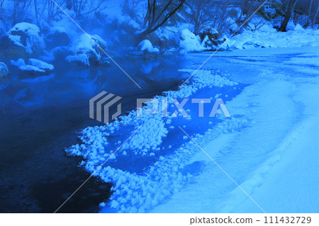 阿寒湖結霜的花 111432729