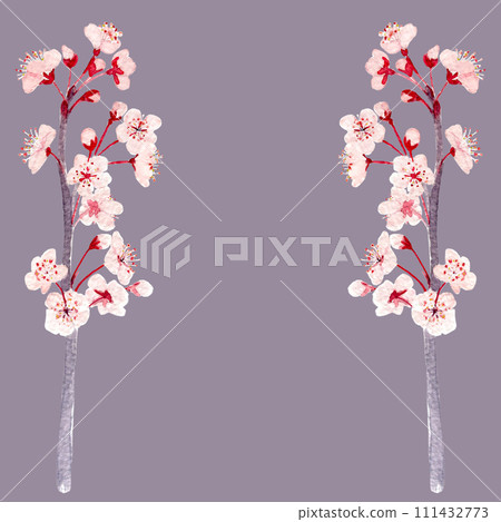 Watercolor hand drawn pink sakura flower branch vertical frame on pastel violet background 111432773