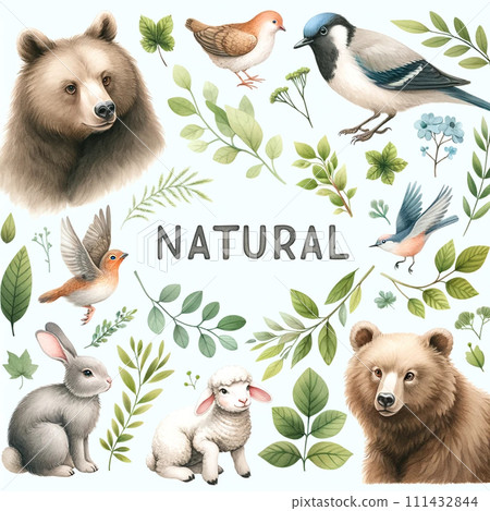 自然動物 111432844