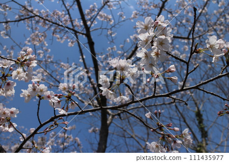 開始新的生活 開始新的生活 111435977