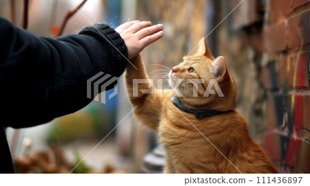 我想藉一隻貓的手諺語圖片 我想藉一隻貓的手諺語圖片 111436897