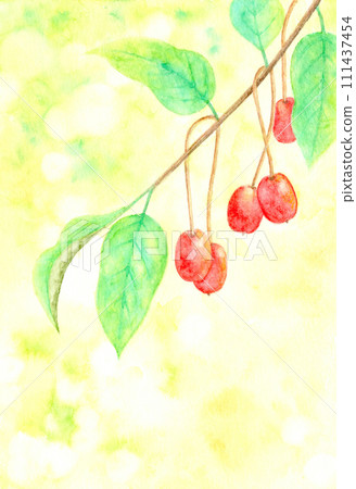 龜尾。 龜尾。 111437454