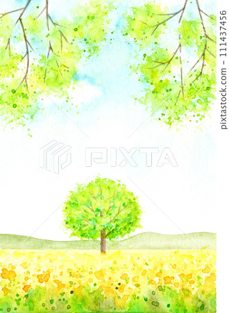 清新的綠色風景。 清新的綠色風景。 111437456