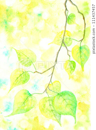 新鮮的綠色。 新鮮的綠色。 111437457