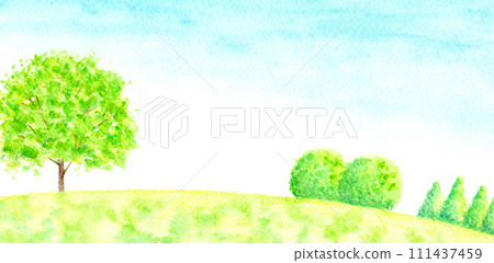 山上的樹。 山上的樹。 111437459