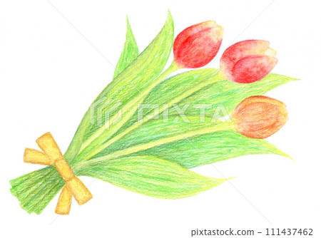 鬱金香花束。 鬱金香花束。 111437462