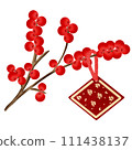 lunar, chinese, dragon 111438137