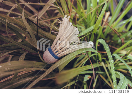 broken racket ball against the background of green grass 111438159