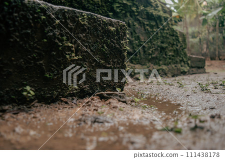The ground was exposed to standing water and mossy green buildings around it The ground was exposed to standing water and mossy green buildings around it 111438178