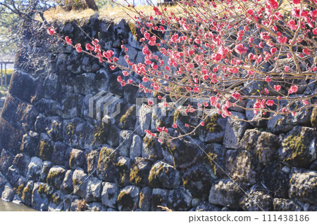 小田原城 小田原城 111438186