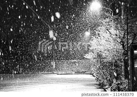 Snow falling night Snow falling night 111438370